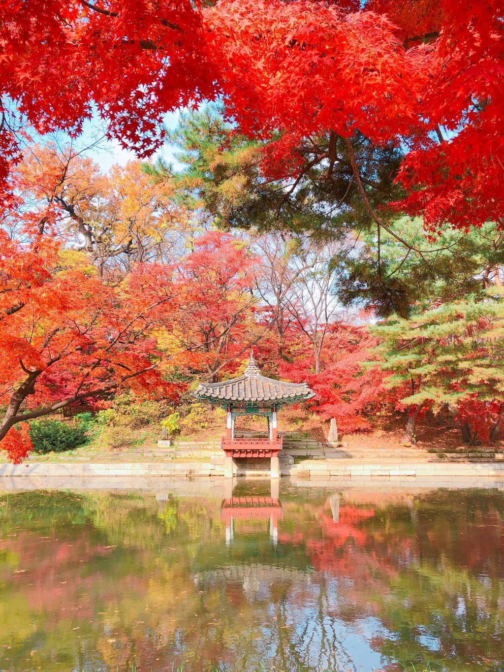 期間限定！一度は見ておきたい絶景／昌徳宮（チャンドックン）の紅葉