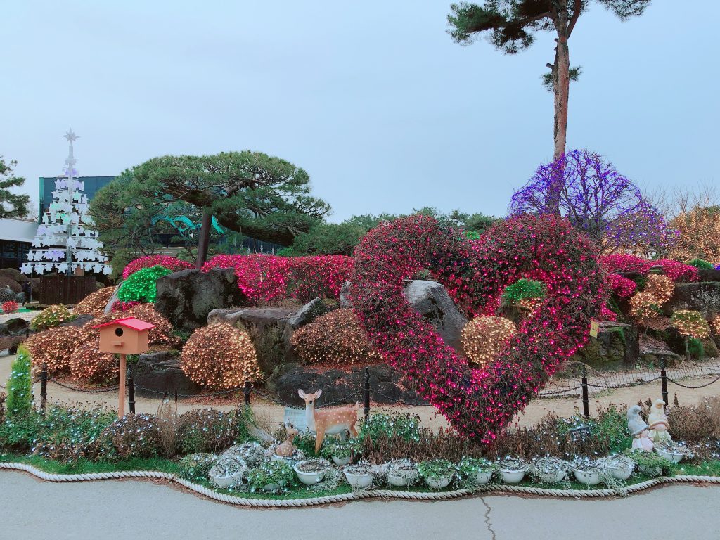 樹木　庭園樹公園樹 hanwa-ex_uju-ninjinboku