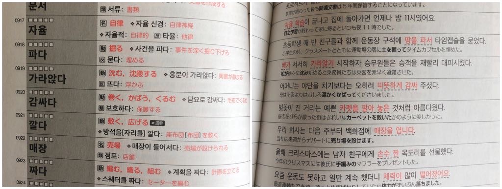 韓国語 中級の壁を超える勉強法 目的別おすすめ教材11選 Topik6級保有者が解説